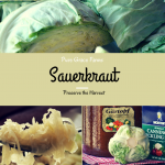 Preserve the Harvest Series: How to Make Sauerkraut